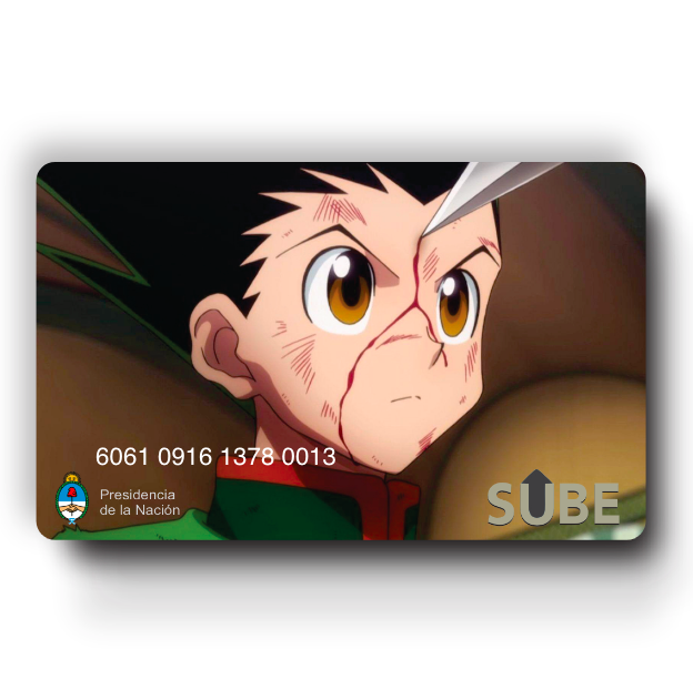 Hunter x Hunter — Cod 207.26 —